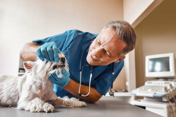 Best Weekend Emergency Dentist in Port Edwards, WI